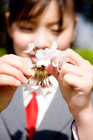 赤ちゃんから英語を学べる英会話教室